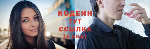 спиды Бикин