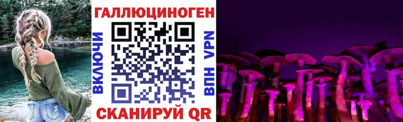 Псилоцибиновые грибы Cubensis  Дмитриев 