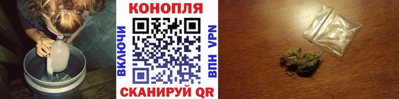 блэк спрут ссылки  Дмитриев  Конопля ГИДРОПОН  где продают  